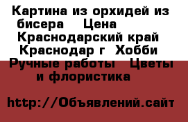 Картина из орхидей из бисера. › Цена ­ 2 400 - Краснодарский край, Краснодар г. Хобби. Ручные работы » Цветы и флористика   